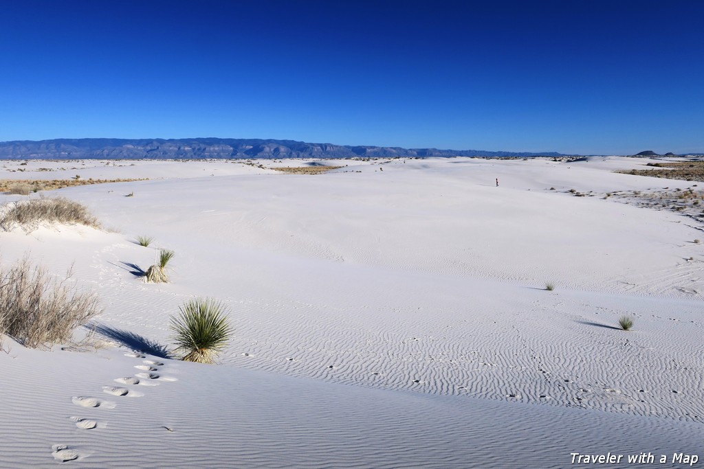 You are currently viewing Great Things to Do at White Sands National Park