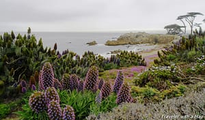 Read more about the article Great Things to Do around Monterey, California