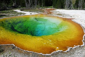 Read more about the article The Most Beautiful Things in Yellowstone National Park