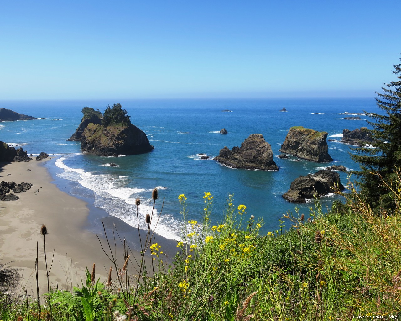 Read more about the article 7 Amazing Hidden Treasures along the Oregon Coast